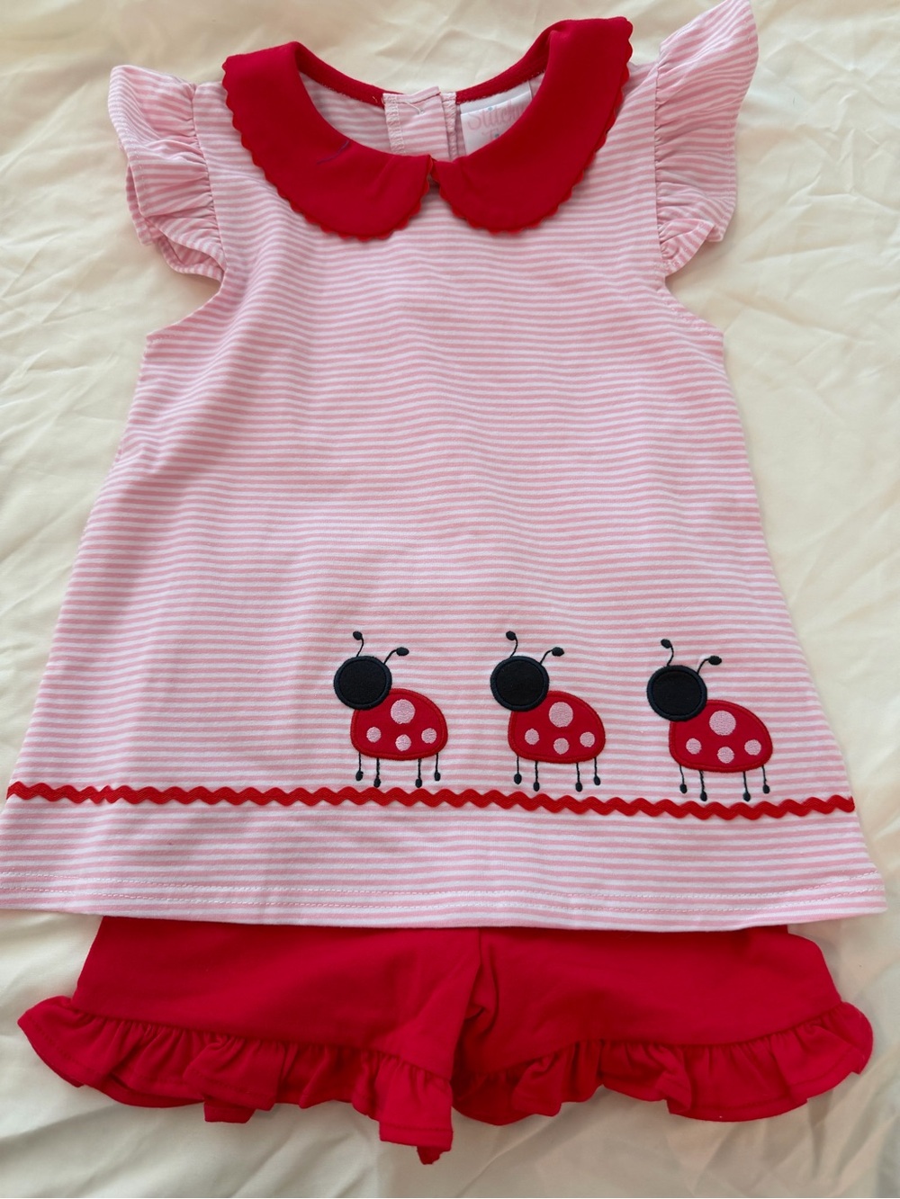 Stitchy Fish Ladybug Line Appliqué Set